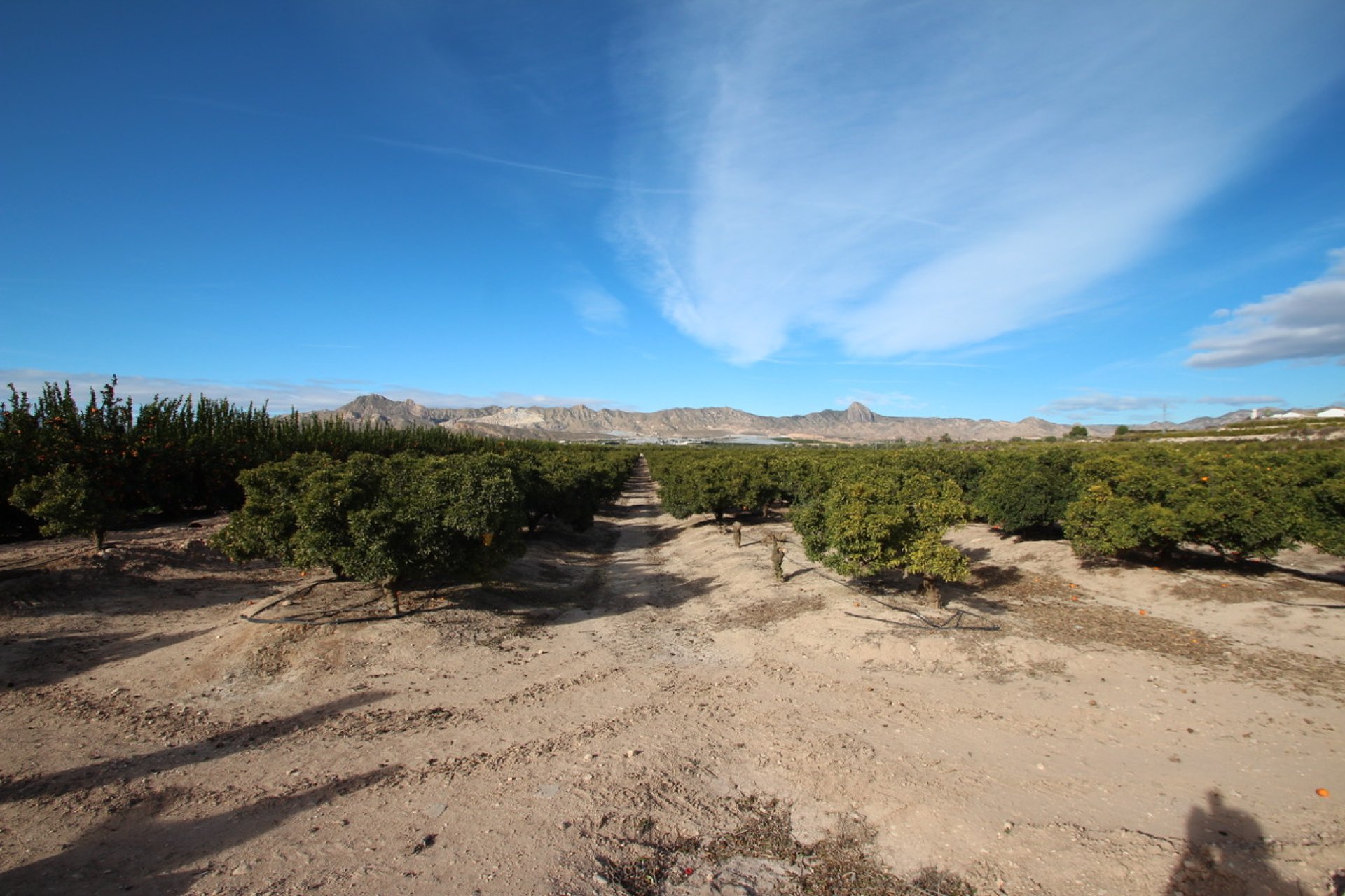 Herverkoop - Country House - Murcia - Costa Blanca