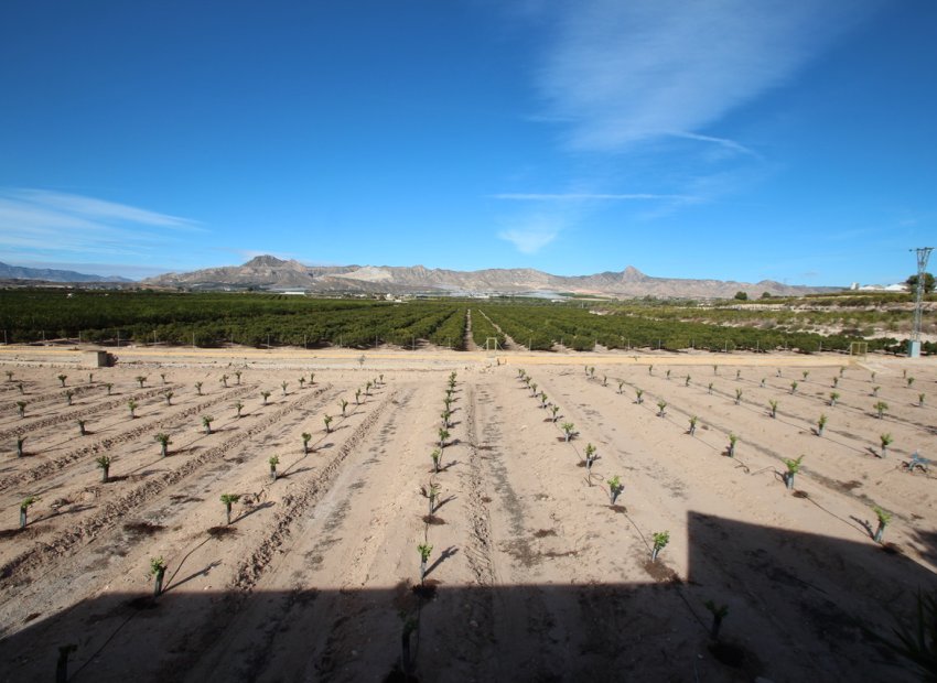 Herverkoop - Country House - Murcia - Costa Blanca