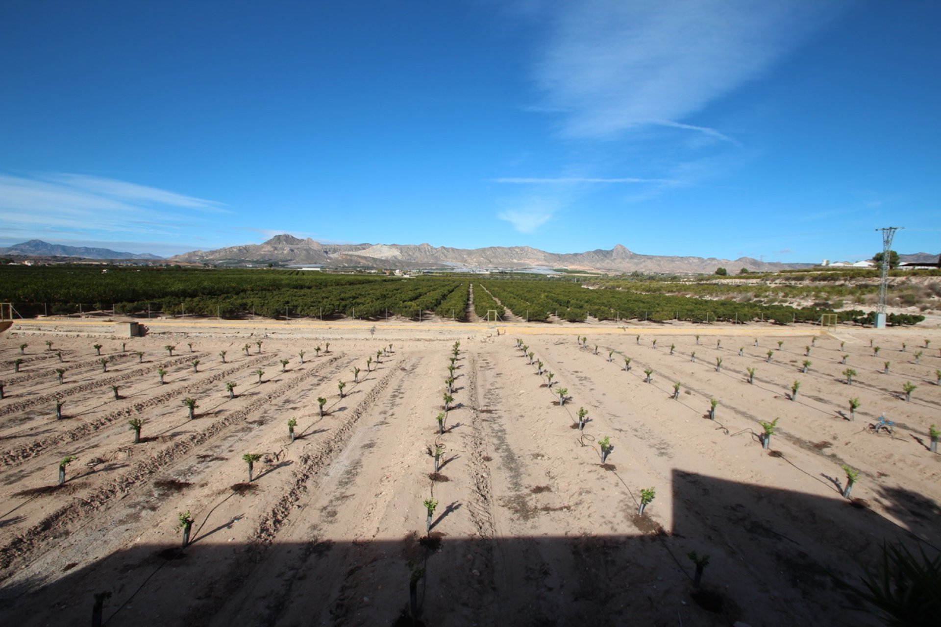 Herverkoop - Country House - Murcia - Costa Blanca