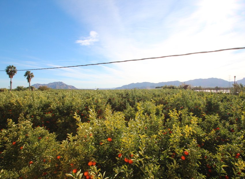 Herverkoop - Country House - Murcia - Costa Blanca