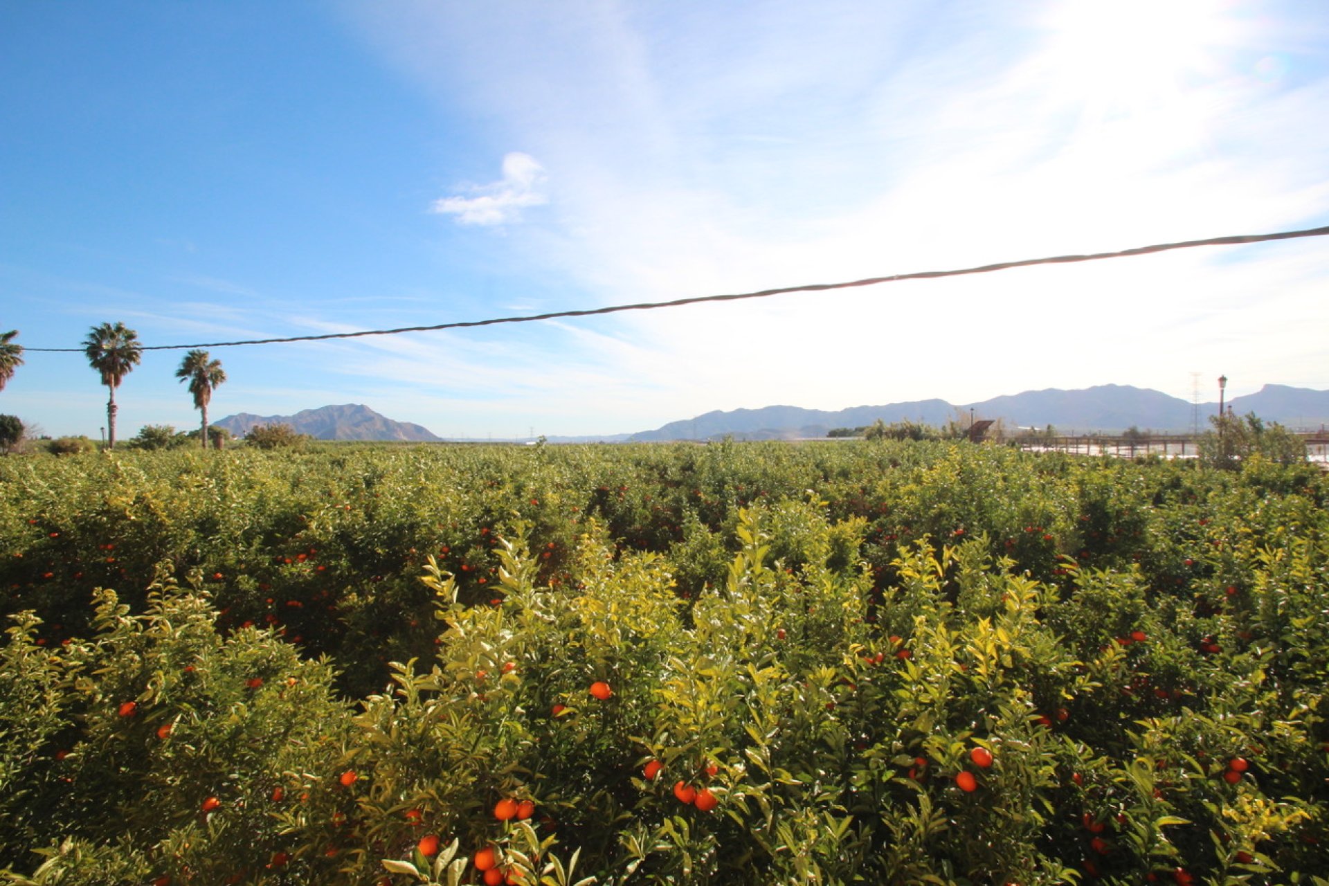 Herverkoop - Country House - Murcia - Costa Blanca