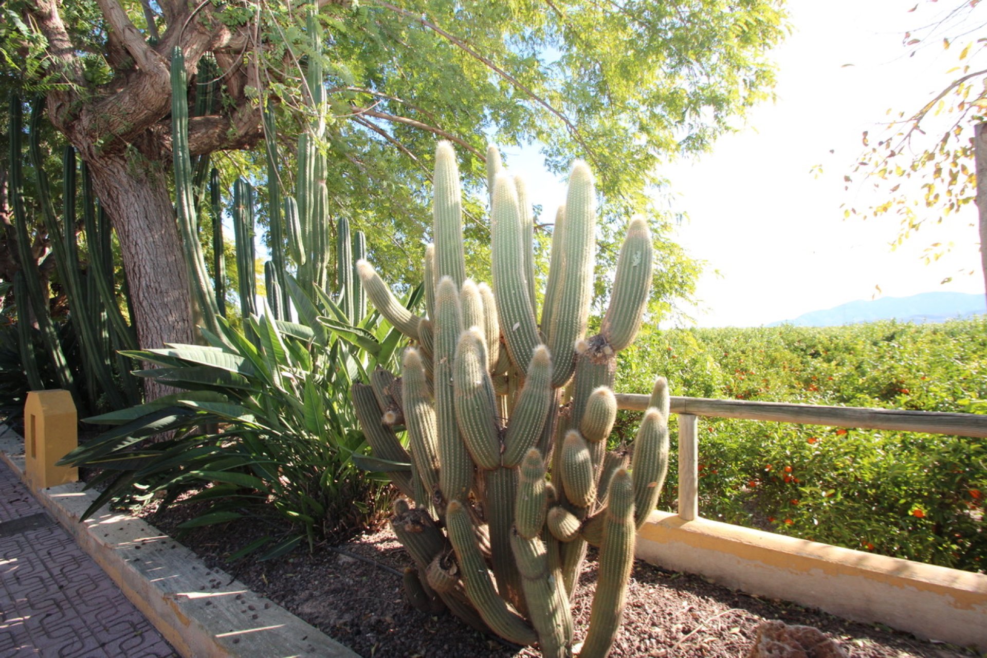 Herverkoop - Country House - Murcia - Costa Blanca