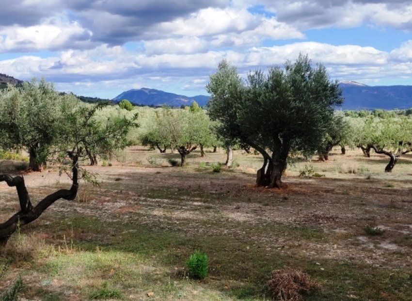 Herverkoop - Country House - Muro de Alcoy