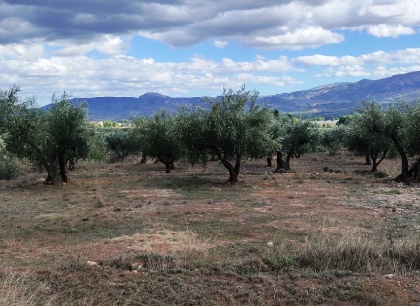 Herverkoop - Country House - Muro de Alcoy