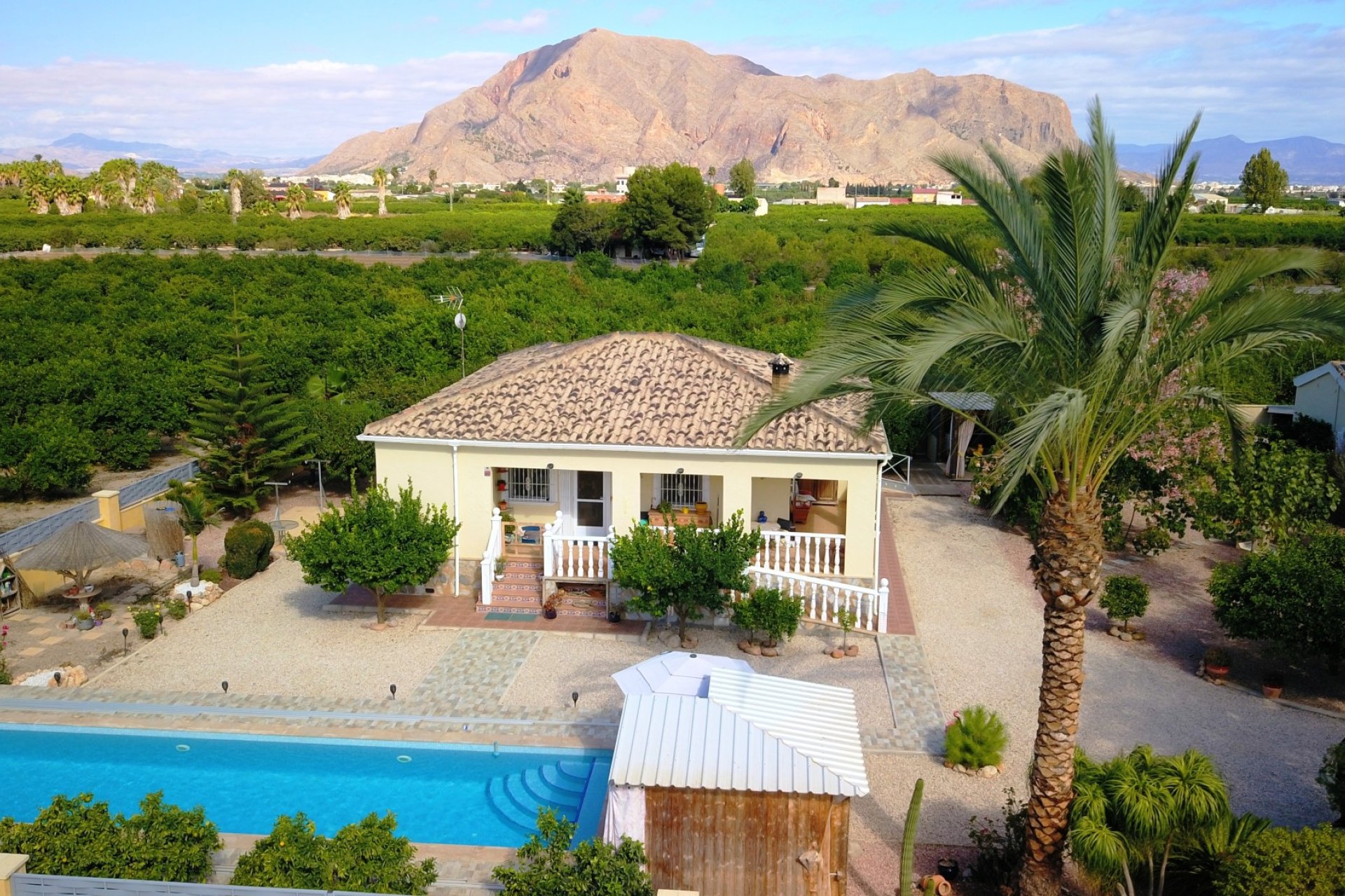 Herverkoop - Country House - Orihuela - La Campaneta