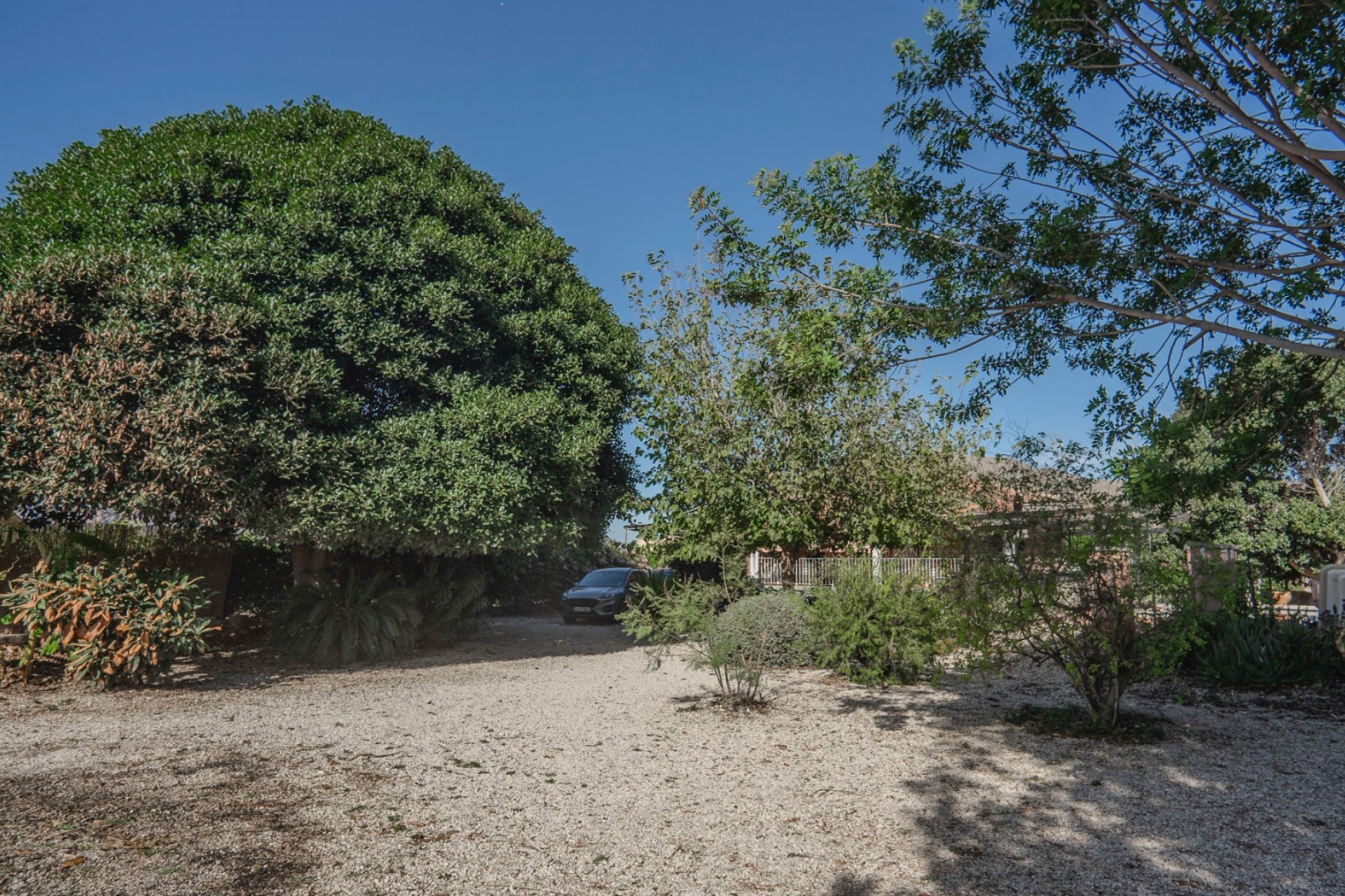 Herverkoop - Country House - Orihuela - San Bartolome
