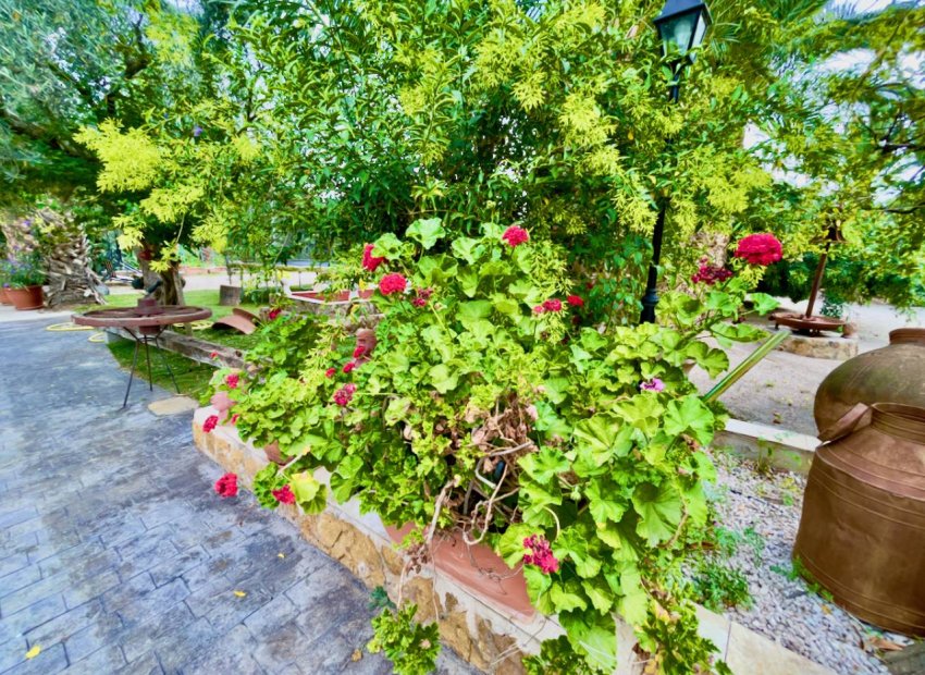 Herverkoop - Country House - Orihuela