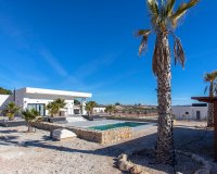 Herverkoop - Country House - Pinoso - Campo