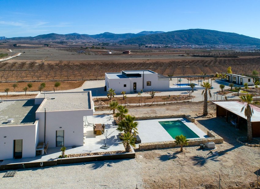 Herverkoop - Country House - Pinoso - Campo