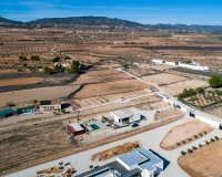 Herverkoop - Country House - Pinoso - Campo