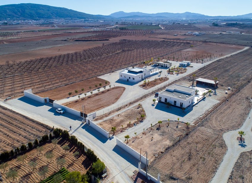 Herverkoop - Country House - Pinoso - Campo