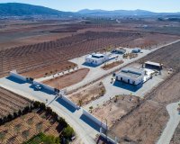 Herverkoop - Country House - Pinoso - Campo