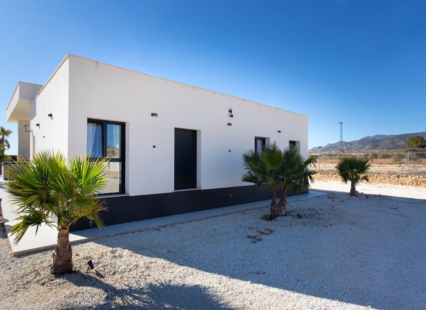 Herverkoop - Country House - Pinoso - Campo