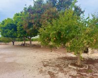 Herverkoop - Country House - Rojales - Ciudad Quesada