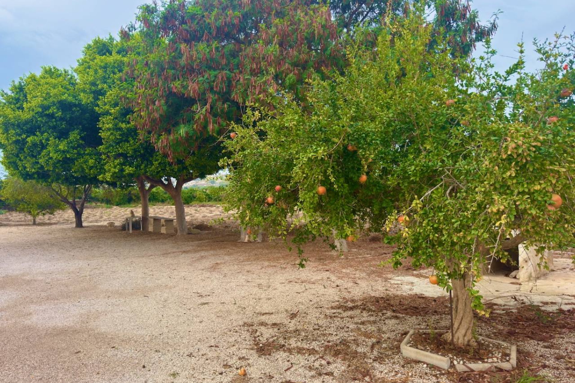 Herverkoop - Country House - Rojales - Ciudad Quesada