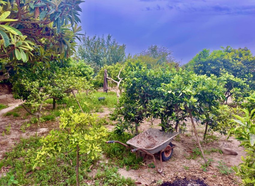 Herverkoop - Country House - Rojales - Ciudad Quesada