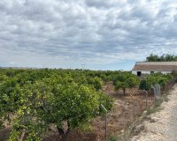 Herverkoop - Country House - Rojales - Ciudad Quesada