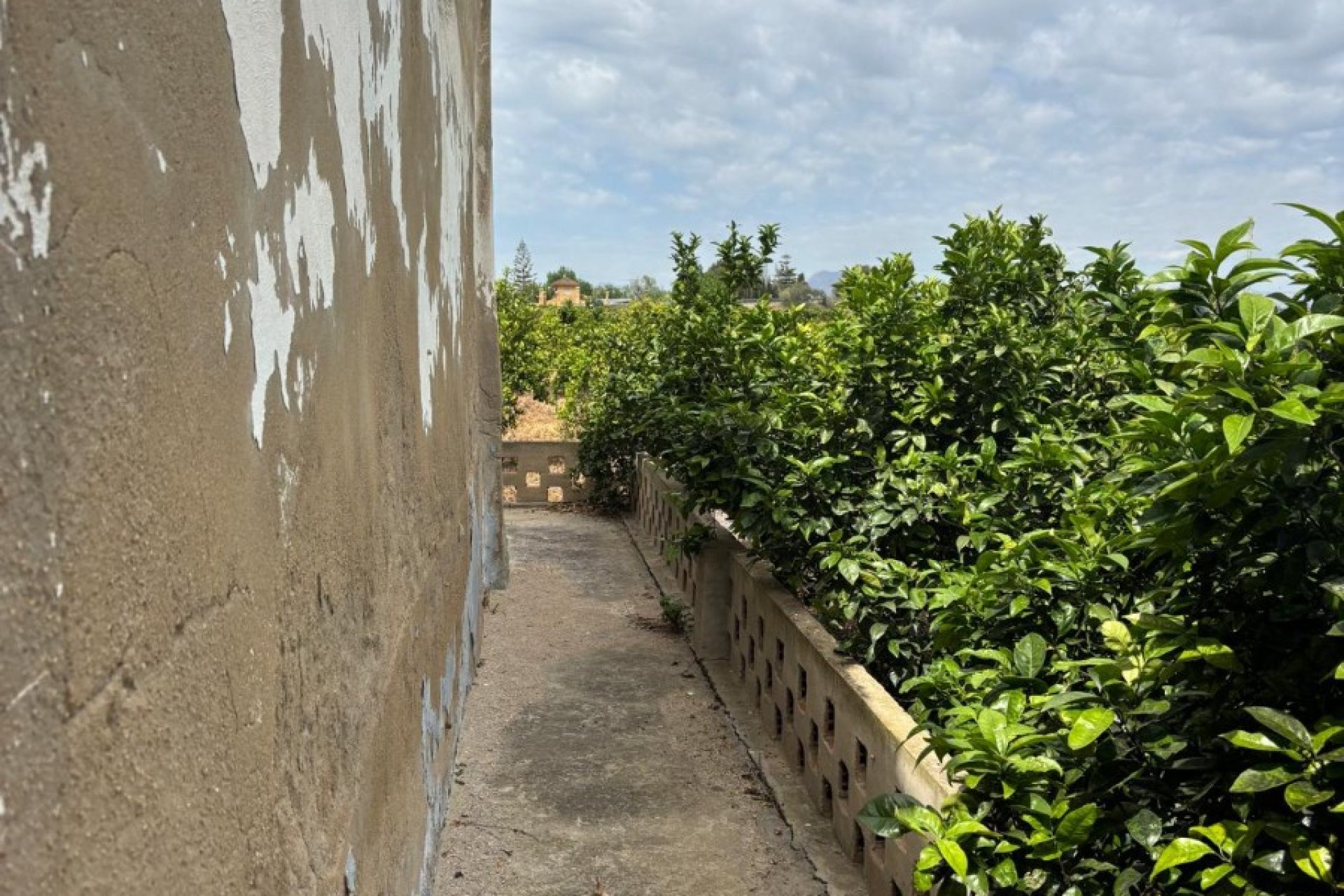 Herverkoop - Country House - Rojales - Ciudad Quesada