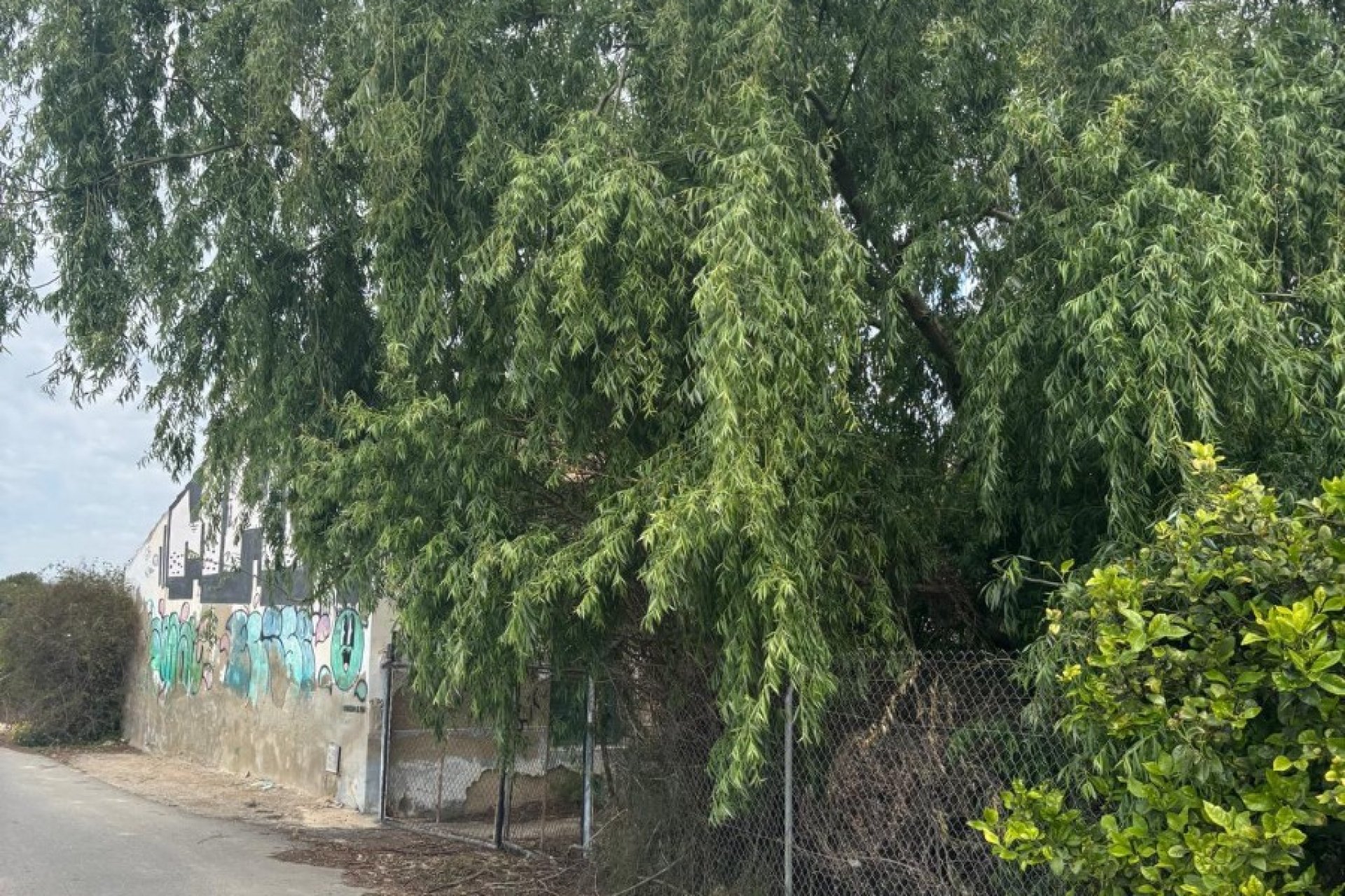 Herverkoop - Country House - Rojales - Ciudad Quesada