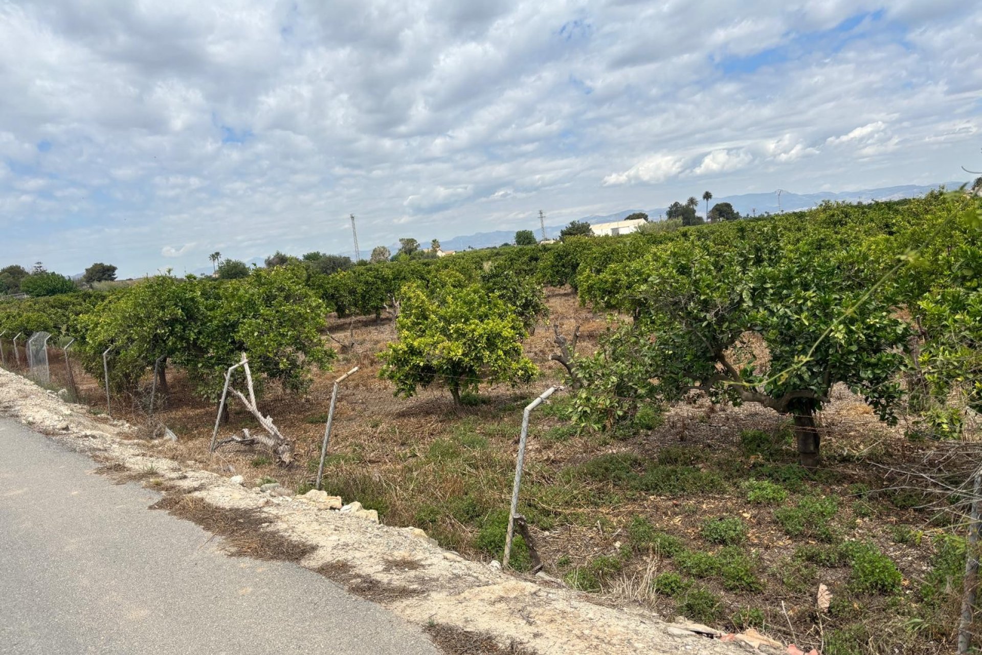 Herverkoop - Country House - Rojales - Ciudad Quesada