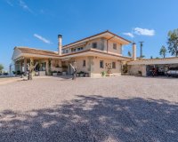 Herverkoop - Country House - San Miguel de Salinas - Torremendo