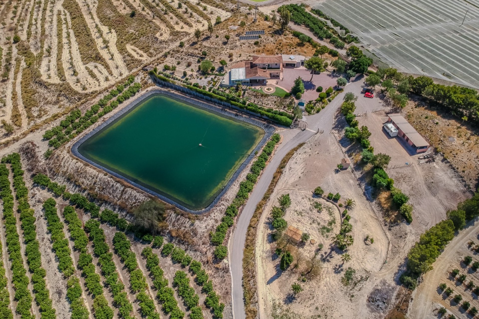 Herverkoop - Country House - San Miguel de Salinas - Torremendo