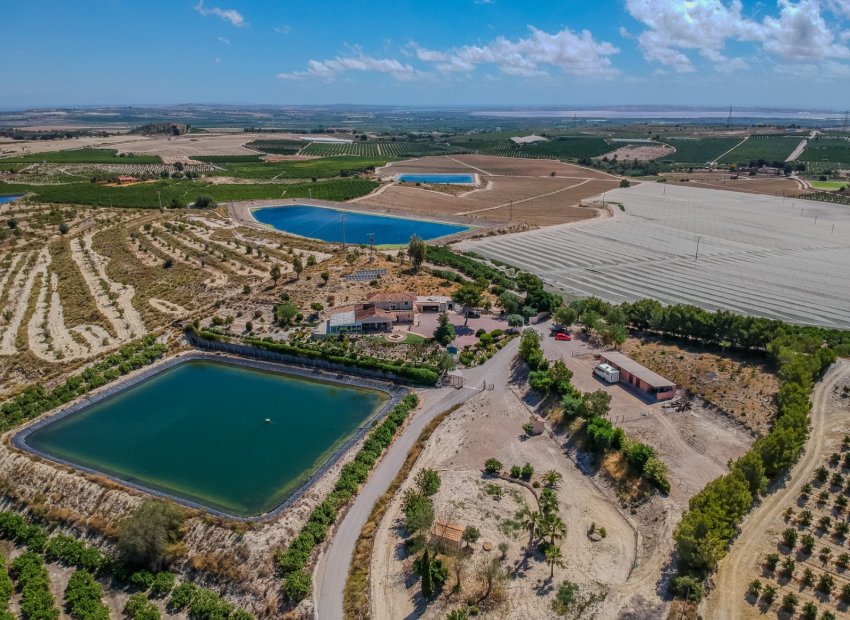 Herverkoop - Country House - San Miguel de Salinas - Torremendo