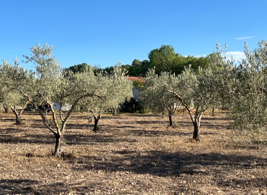 Herverkoop - Country House - Sax