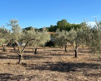 Herverkoop - Country House - Sax