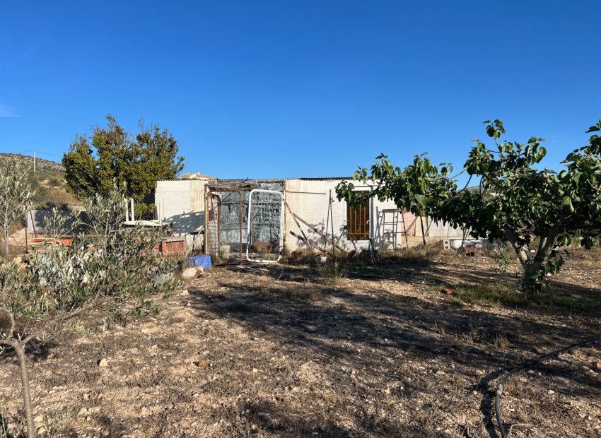 Herverkoop - Country House - Sax