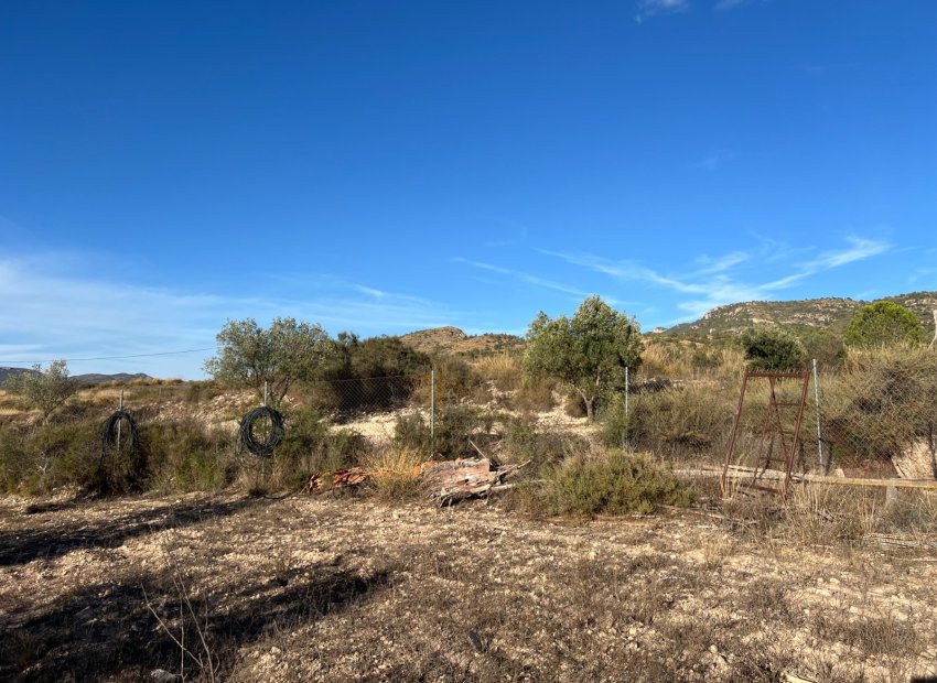 Herverkoop - Country House - Sax