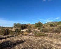 Herverkoop - Country House - Sax