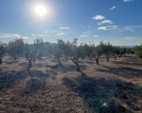 Herverkoop - Country House - Sax