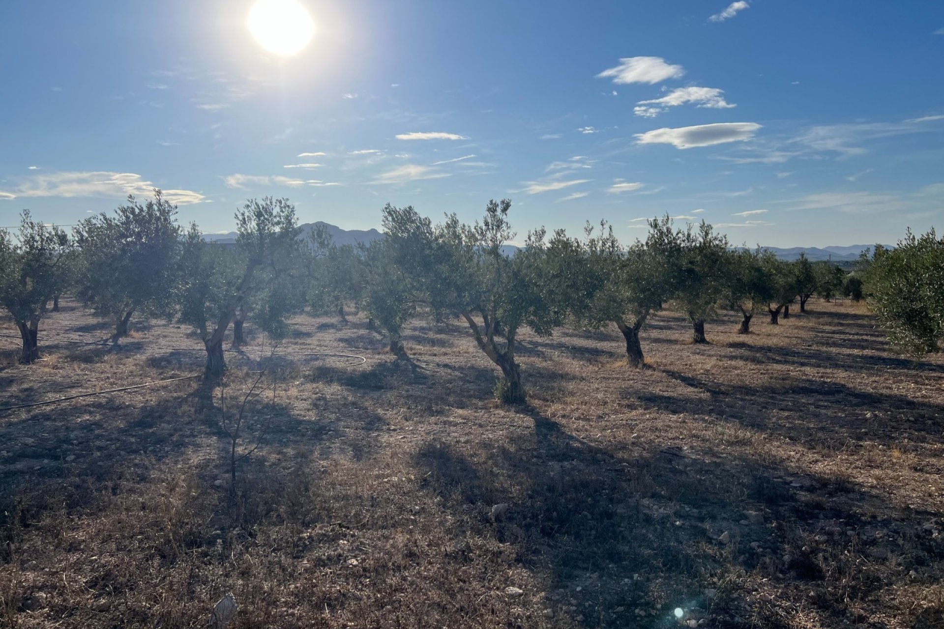 Herverkoop - Country House - Sax