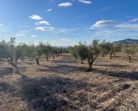 Herverkoop - Country House - Sax