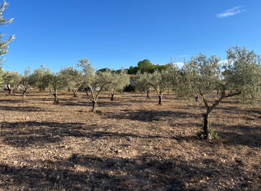 Herverkoop - Country House - Sax