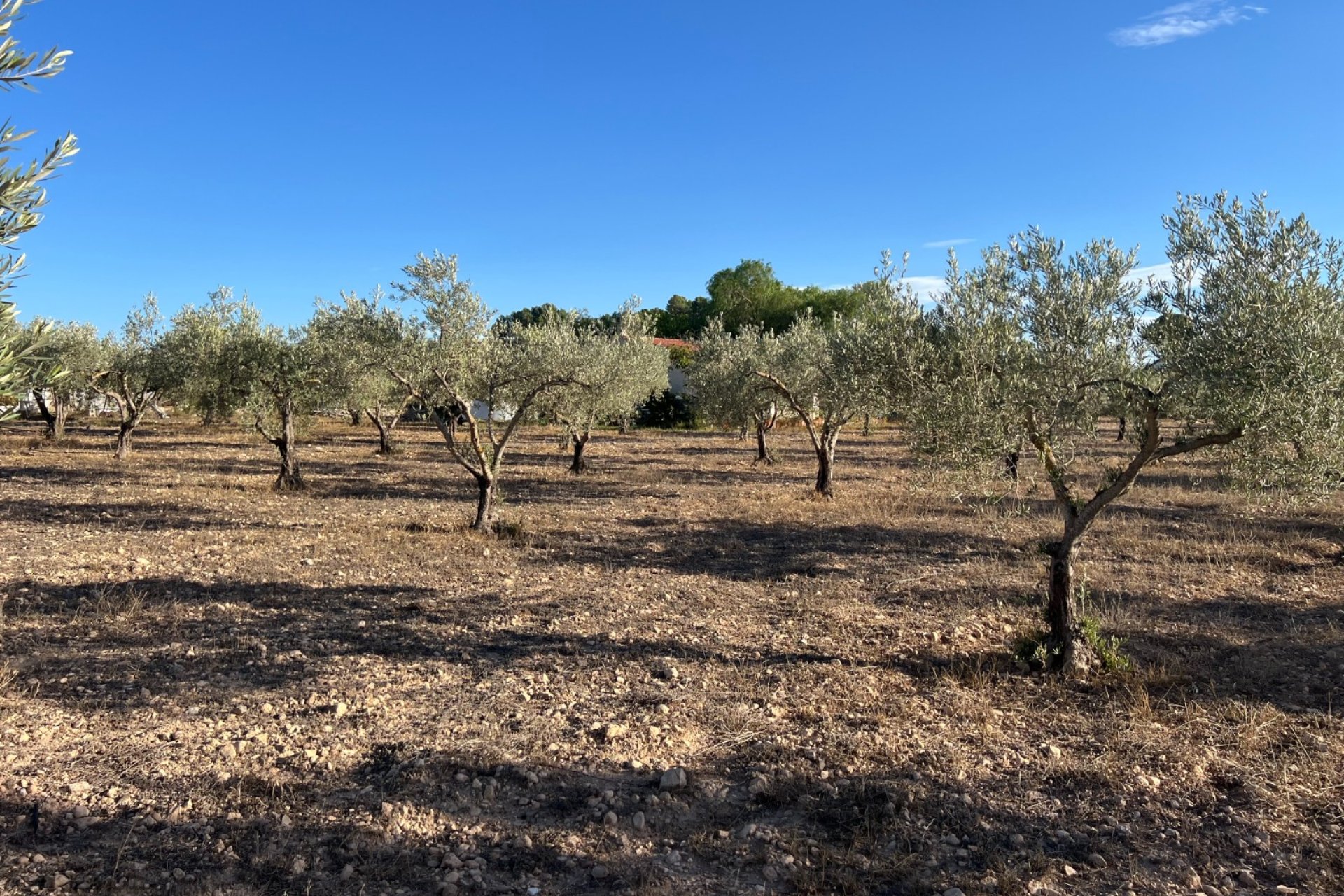 Herverkoop - Country House - Sax