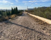 Herverkoop - Country House - Sax