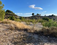 Herverkoop - Country House - Sax