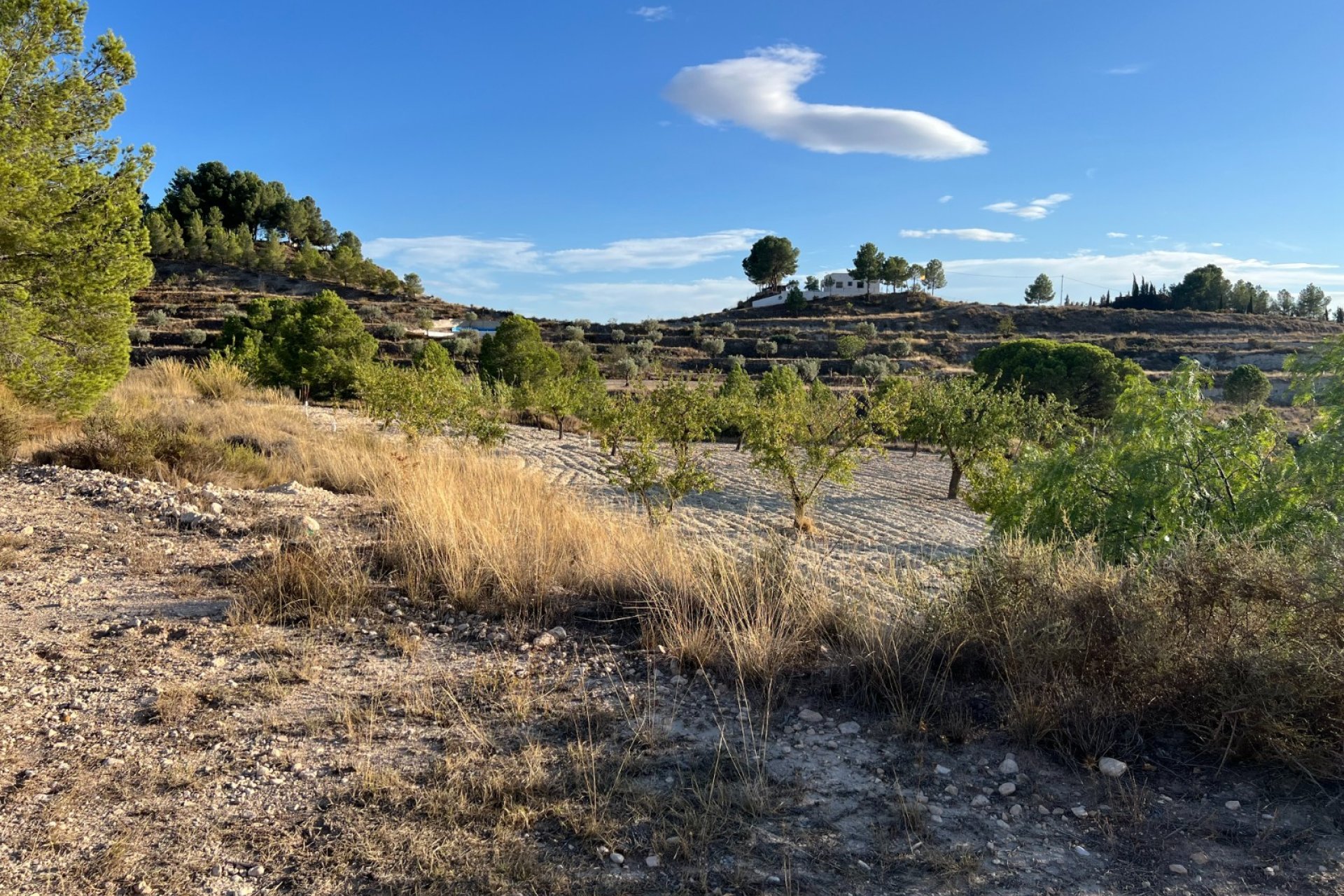 Herverkoop - Country House - Sax