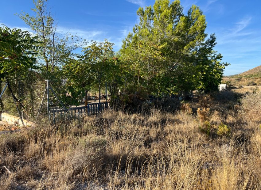 Herverkoop - Country House - Sax