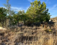 Herverkoop - Country House - Sax