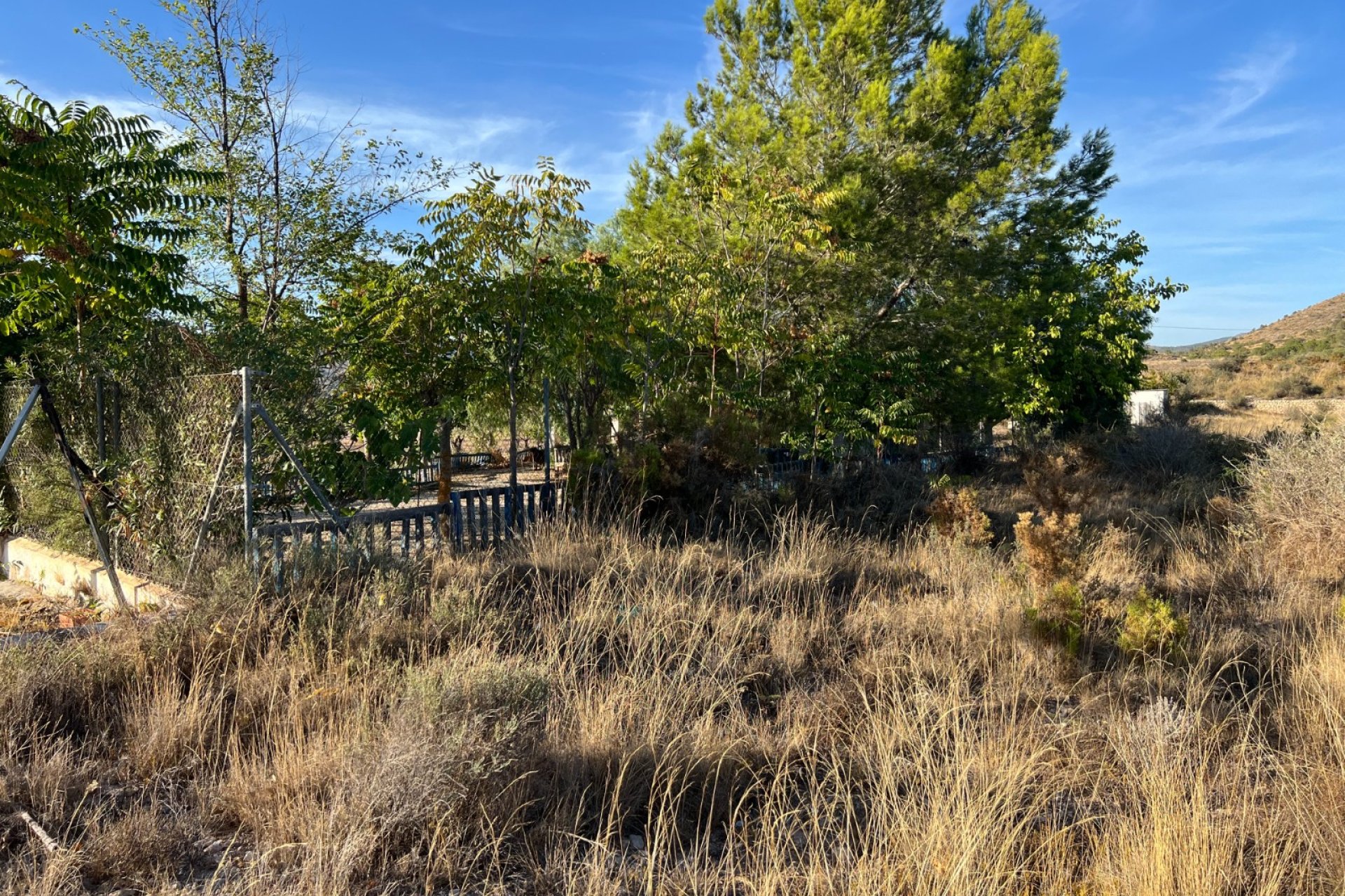 Herverkoop - Country House - Sax