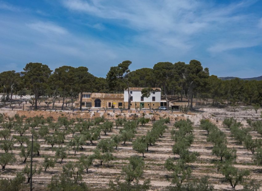 Herverkoop - Others - Castalla