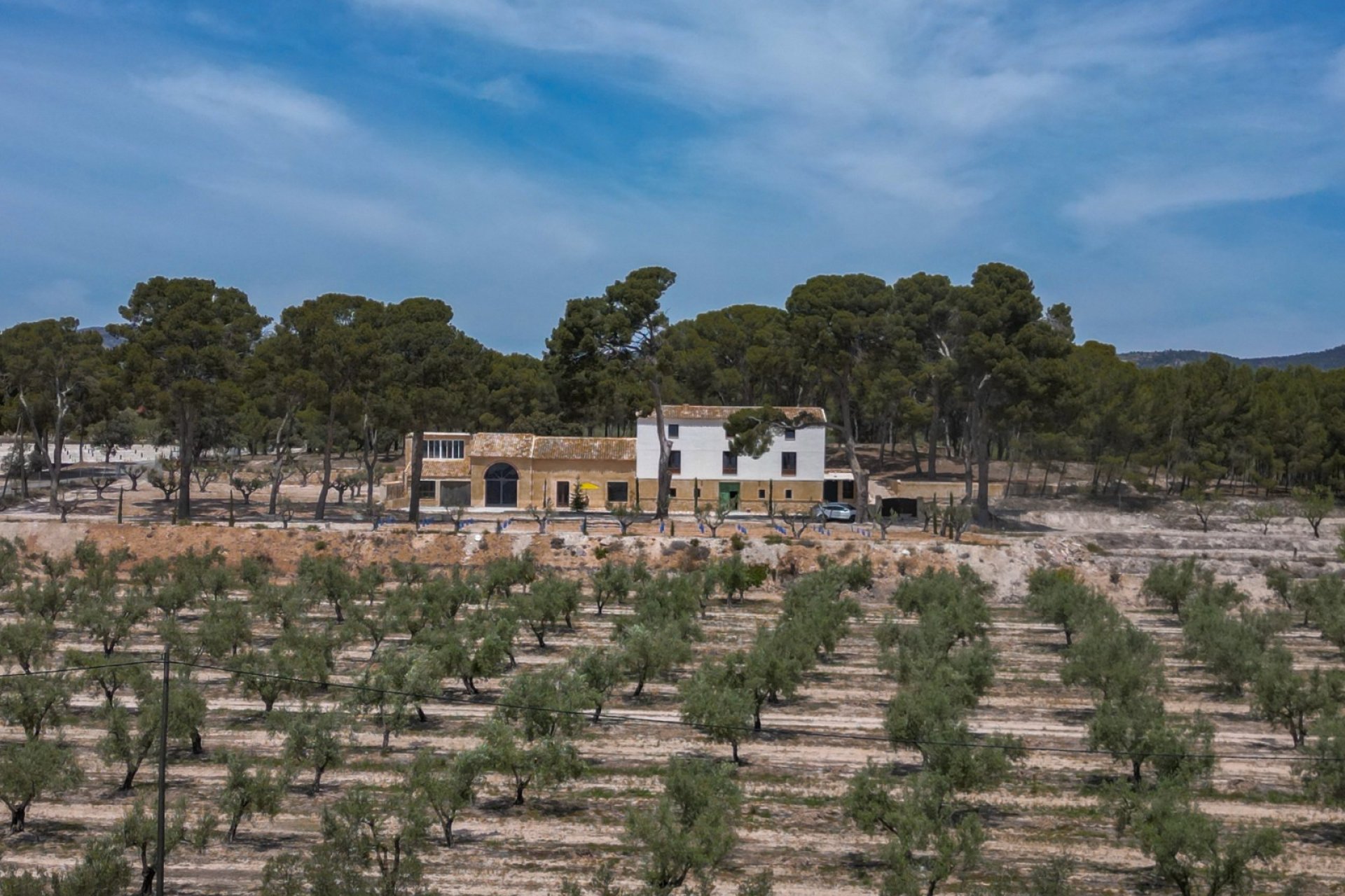 Herverkoop - Others - Castalla