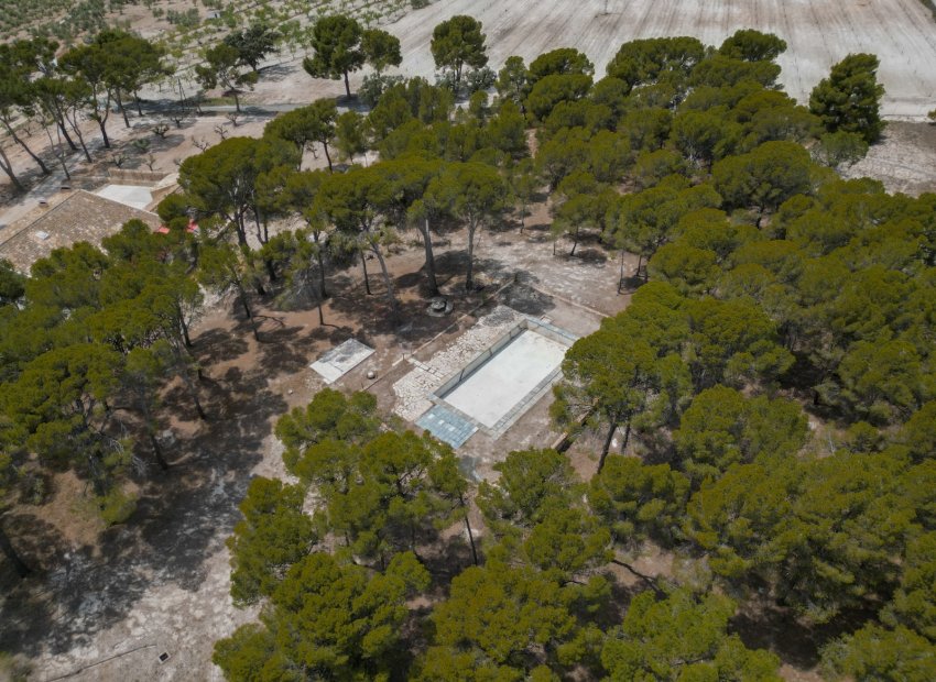 Herverkoop - Others - Castalla