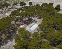 Herverkoop - Others - Castalla