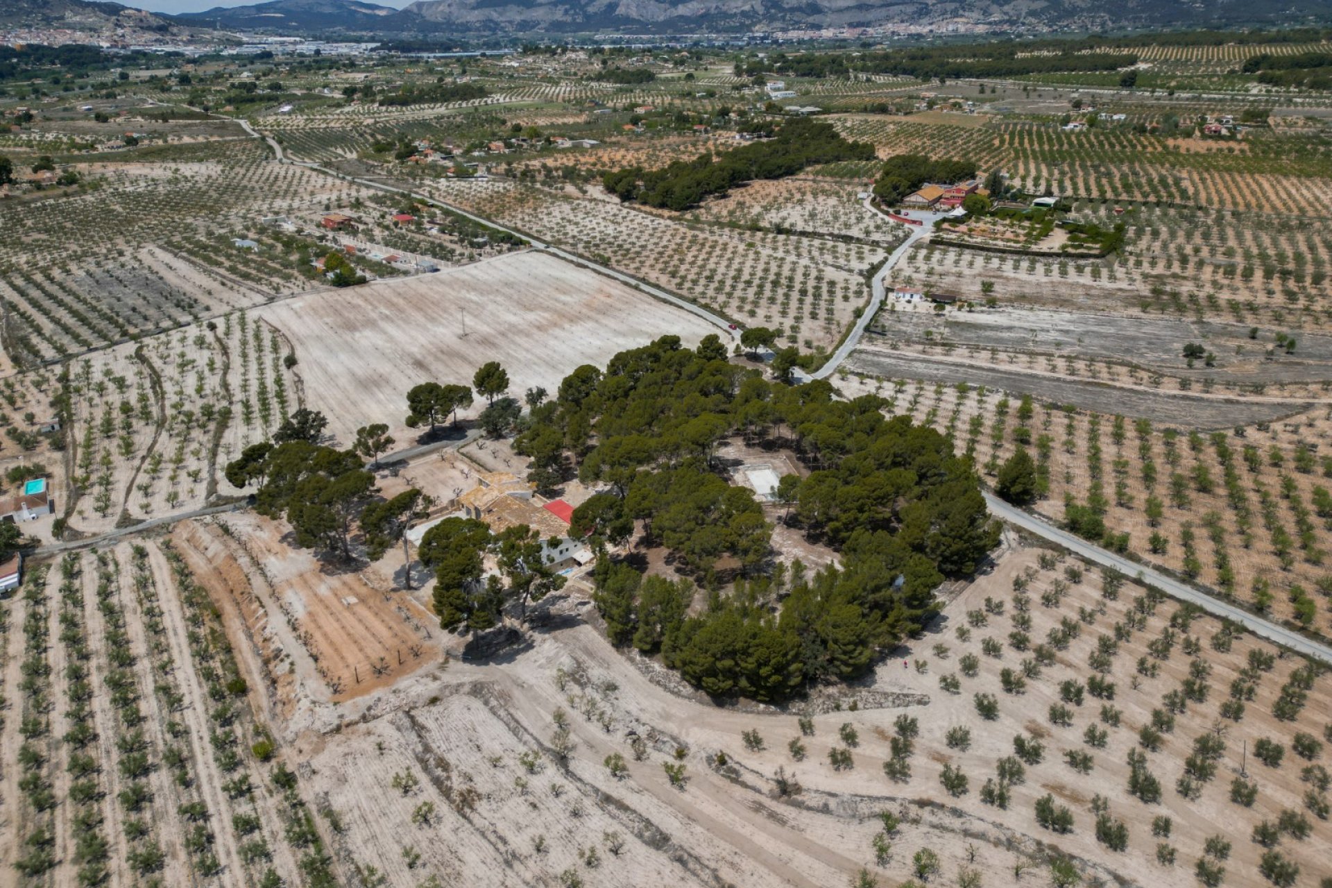 Herverkoop - Others - Castalla