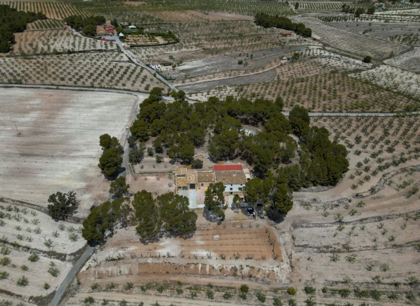 Herverkoop - Others - Castalla