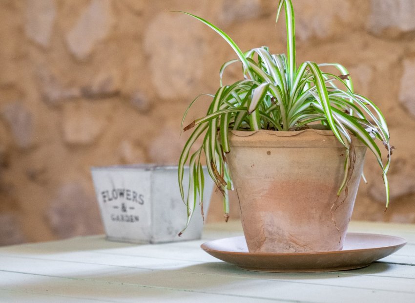 Herverkoop - Others - Castalla